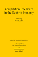 Competition Law Issues in the Platform Economy